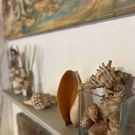 公寓 Charming House Isola Di Casa Carlo Alberto 卡普拉亚